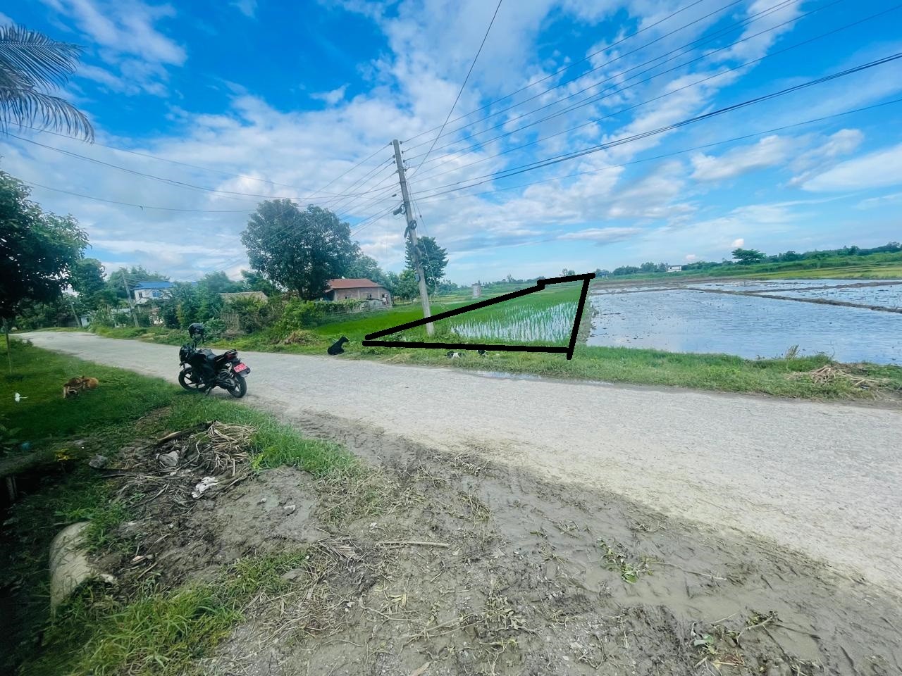 Kaseni 4, Morang